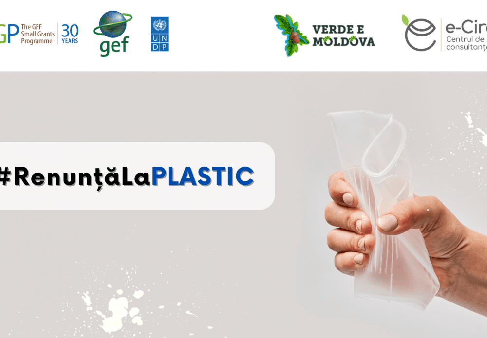 Deșeuri din Plastic în Economia Circulară: Soluții comunitare